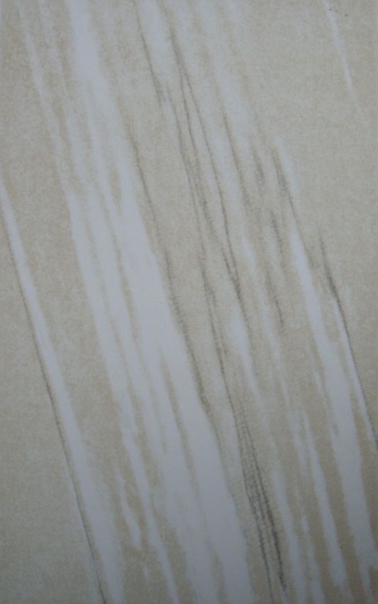 Glazed Tiles 250×400