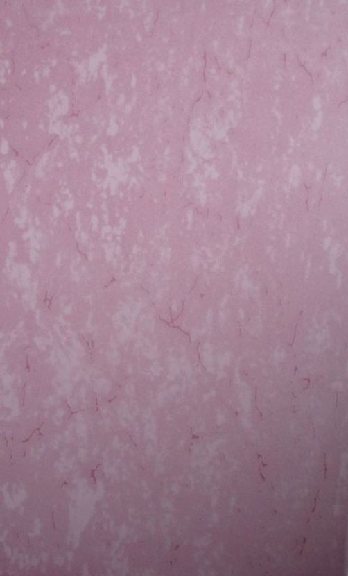 Glazed Tiles 250×400