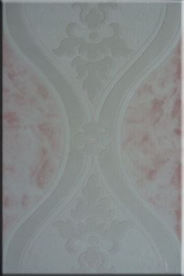 Glazed Tiles 200 X 300