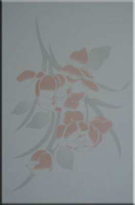 Glazed Tiles 200 X 300