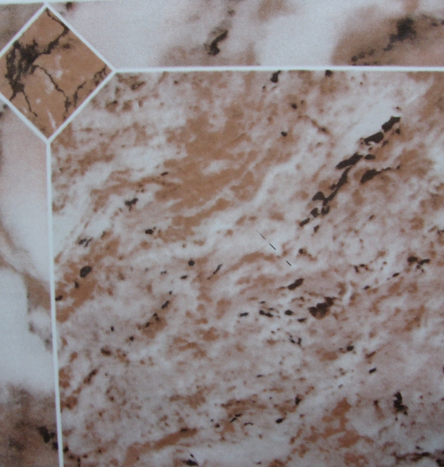 Glazed Tiles 400×400