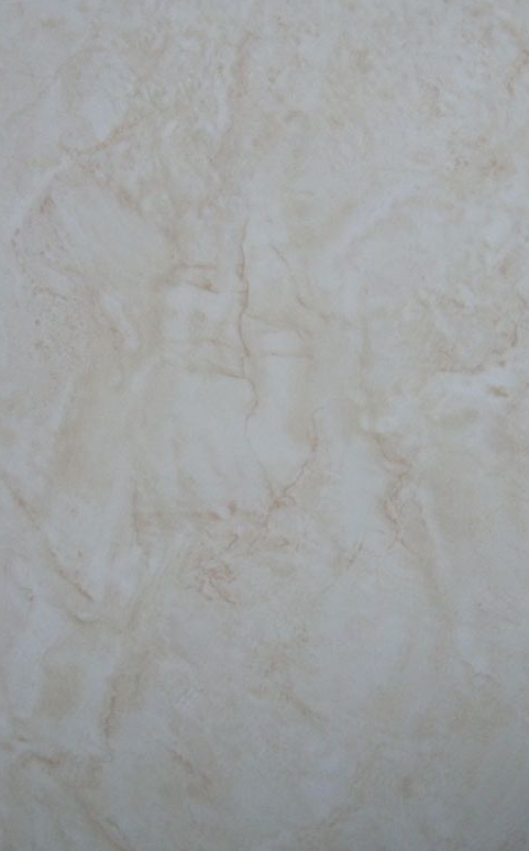Glazed Tiles 250×400
