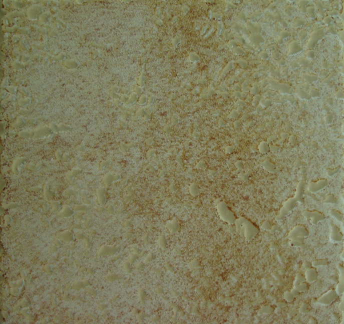 Glazed Tiles 200 X 200