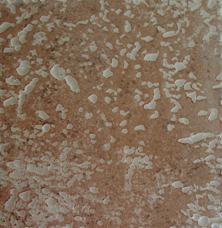 Glazed Tiles 200 X 200