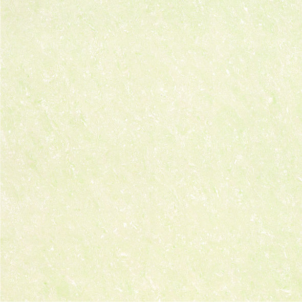 Double Loading 600×600 – 抛光瓷砖